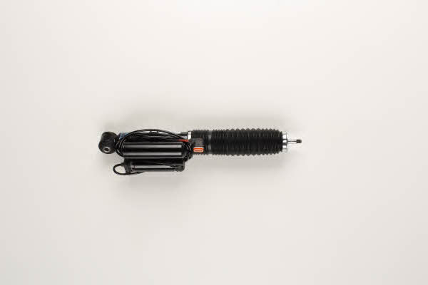 Buy Bilstein 26-220055 at a low price in United Arab Emirates!