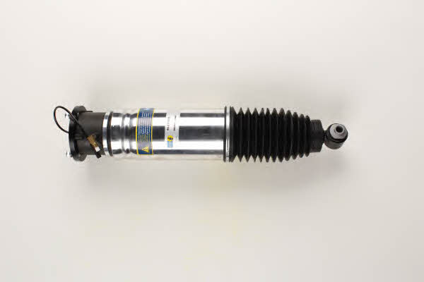 Buy Bilstein 44-219222 at a low price in United Arab Emirates!