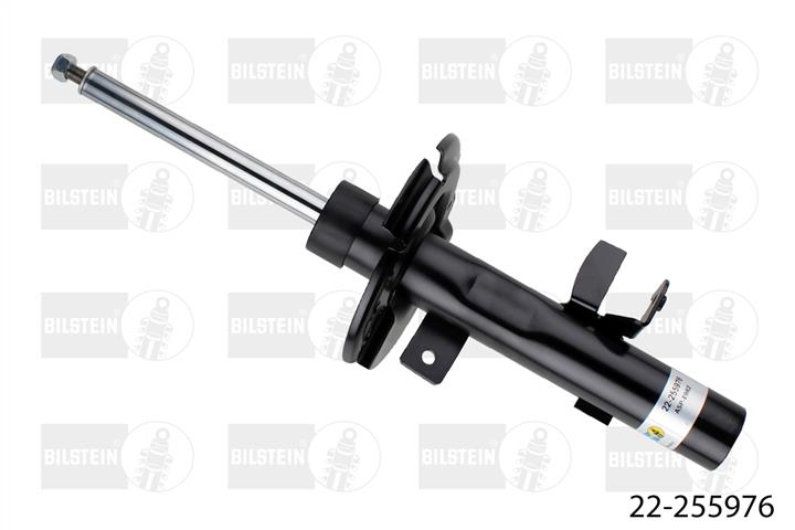 Front right gas oil shock absorber Bilstein 22-255976