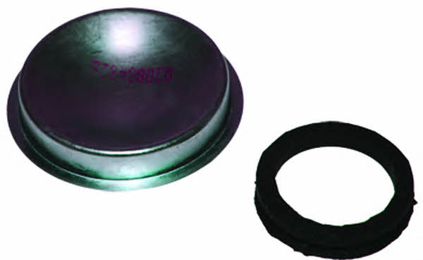 3470 Birth Hub nut cover