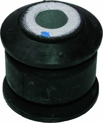 Rubber bushes Fiat Ducato: 2013 Birth Silent block