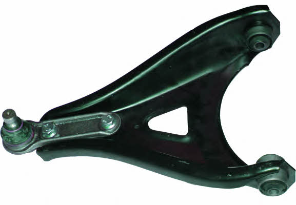 Birth BR1089 Track Control Arm BR1089