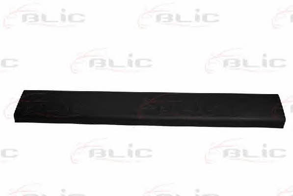 Door moulding Citroen: 5508002092971P Blic Door trim
