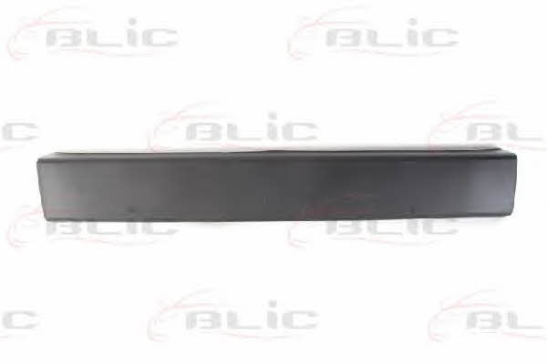 Door moulding Fiat Ducato: 5508002092972P Blic Door trim