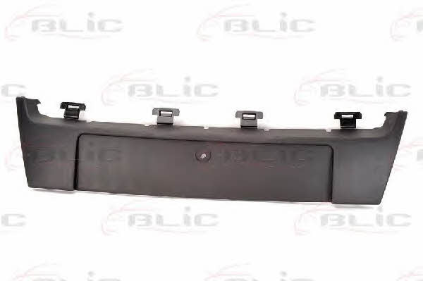 License Plate Bracket Blic 5510-00-6046920P