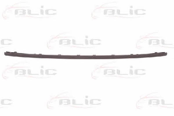 Bumper moulding Ford: 5513002533976P Blic Trim rear bumper