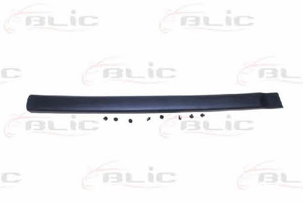 Door moulding Citroen: 5703040550572P Blic Door trim
