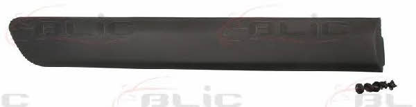 Door trim Blic 5703-04-2042574PP