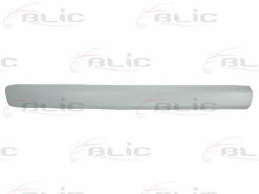 Door moulding Fiat: 5703042042575P Blic Door trim