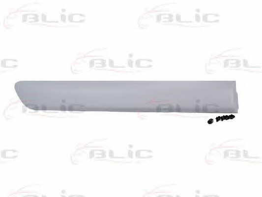 Door moulding Fiat Doblo: 5703042042578P Blic Door trim