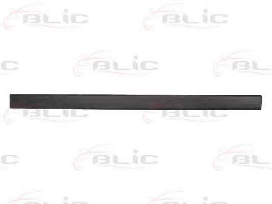 Door moulding Ford Escort: 5703042530572P Blic Door trim