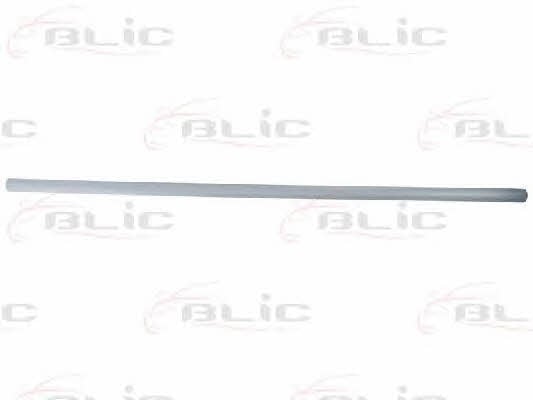 Door trim Blic 5703-04-2555576P