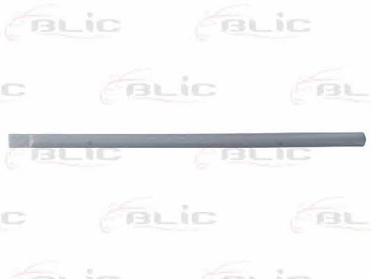 Door trim Blic 5703-04-2555577P
