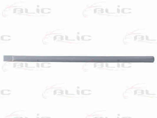 Door trim Blic 5703-04-2555578P