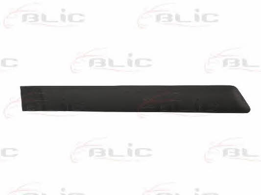 Door trim Blic 5703-04-2564474CP