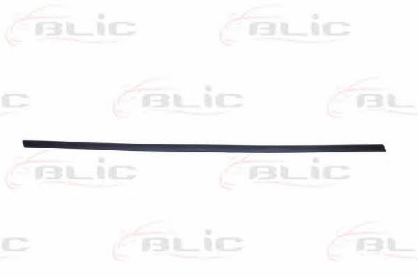Door trim Blic 5703-04-2564571P