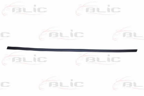 Door trim Blic 5703-04-2564572P