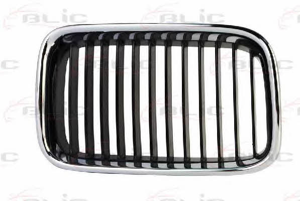 Grille radiator Blic 6502-07-0060992P