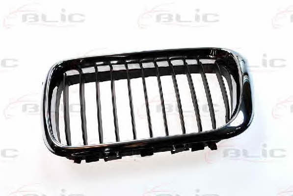Grille radiator Blic 6502-07-0060997P