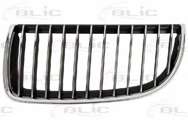 Grille radiator Blic 6502-07-0062993P