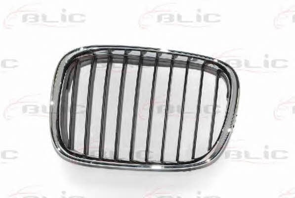 Grille radiator Blic 6502-07-0065991P