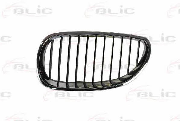 Grille radiator Blic 6502-07-0066991P