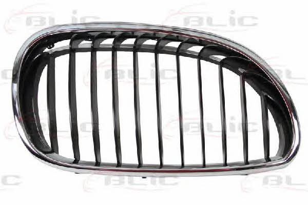 Grille radiator Blic 6502-07-0066992P