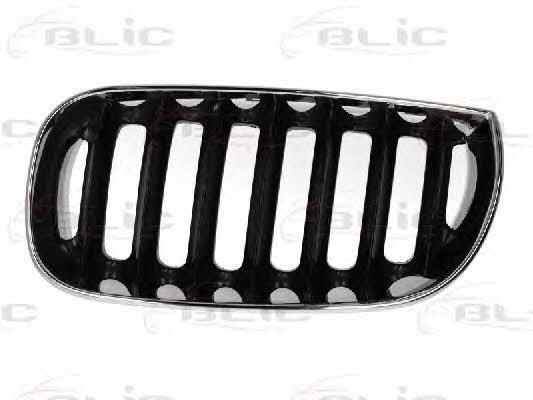 Grille radiator Blic 6502-07-0093991P