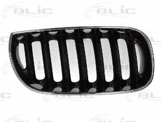 Grille radiator Blic 6502-07-0093992P