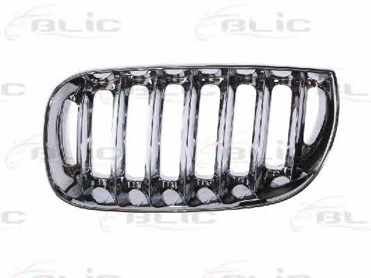 Grille radiator Blic 6502-07-0093993P