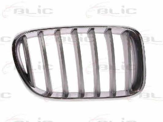 Grille radiator Blic 6502-07-0093998P