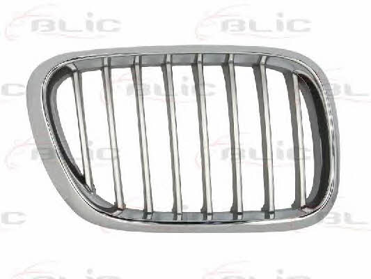 Grille radiator Blic 6502-07-0095992P