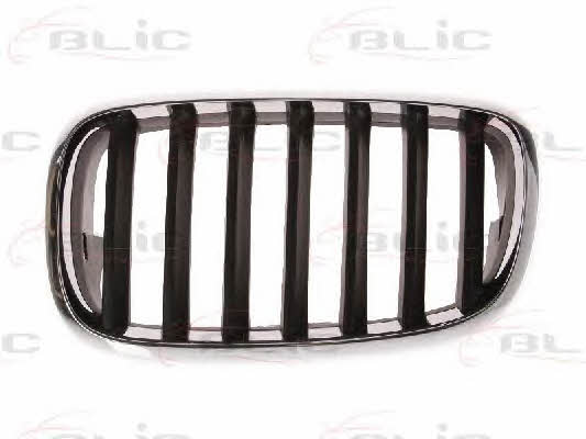 Grille radiator Blic 6502-07-0096991P