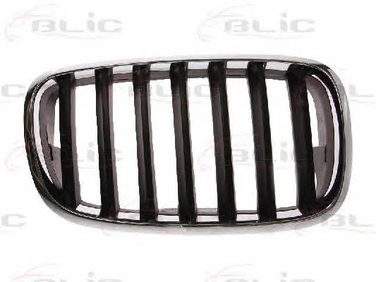 Grille radiator Blic 6502-07-0096992P