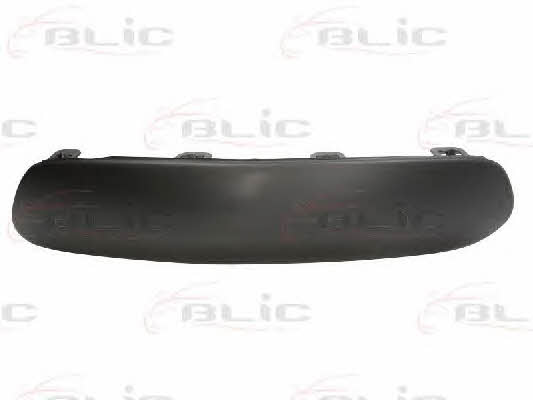Trim bumper Blic 6502-07-0519925P