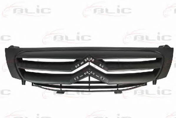 Blic 6502-07-0519992P Grille radiator 6502070519992P