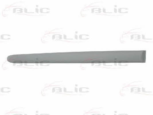 Door trim Blic 5703-04-5507577P