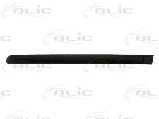 Door trim Blic 5703-04-5514573P