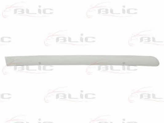 Door trim Blic 5703-04-5514578P