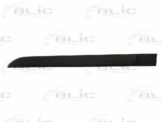 Door moulding Renault Megane: 5703046042573P Blic Door trim