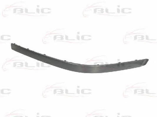 Bumper moulding BMW: 5703050065929PP Blic Trim bumper