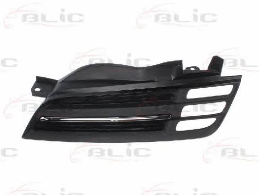 Grille radiator Blic 6502-07-1609992P