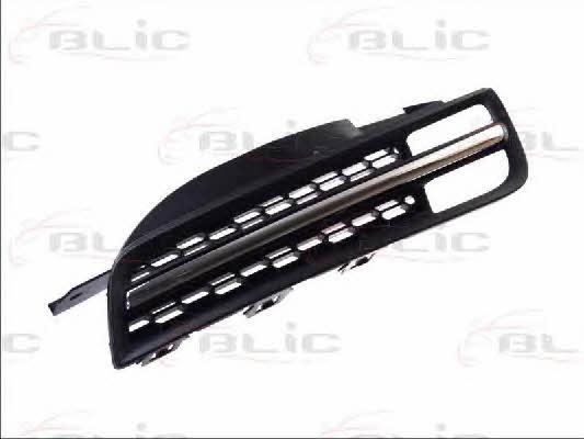 Grille radiator Blic 6502-07-1609993P