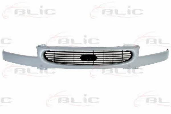 Grille radiator Blic 6502-07-2515994P