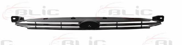 Grille radiator Blic 6502-07-2530994P
