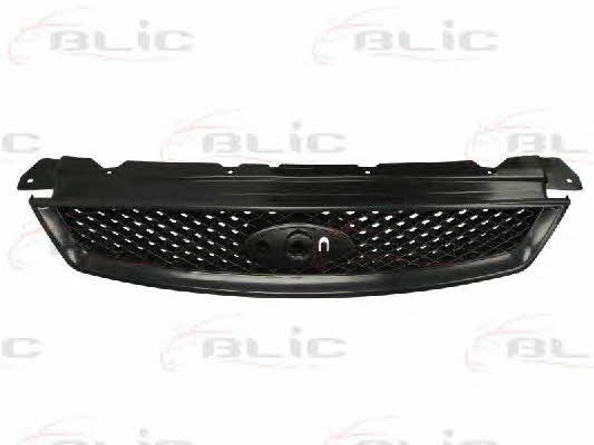 Grille radiator Blic 6502-07-2533990P