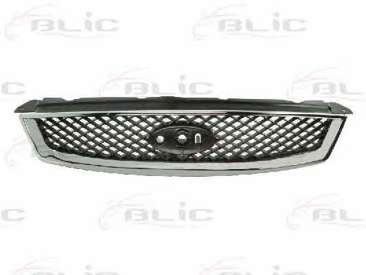 Radiator grille Ford Focus: 6502072533991P Blic Grille radiator