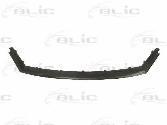 Blic 6502-07-2555991P Grille radiator 6502072555991P