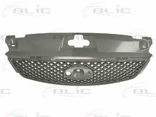 Grille radiator Blic 6502-07-2555995P