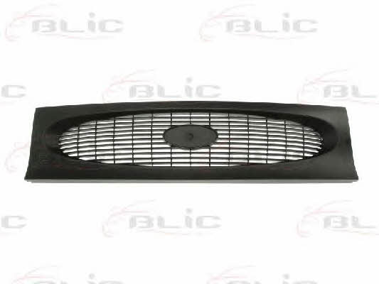 Grille radiator Blic 6502-07-2563990P